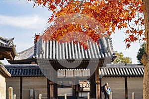 Fall color over the historical Horyu Ji