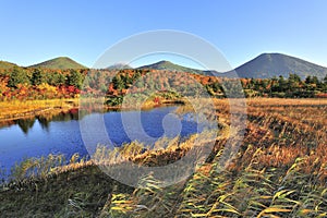 Fall color and pond of Japan  Aomori