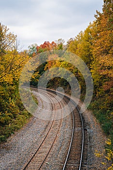 Fall color and railroad tracks in Remington, Baltimore, Maryland