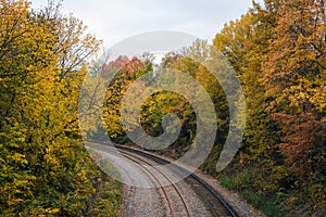 Fall color and railroad tracks in Remington, Baltimore, Maryland