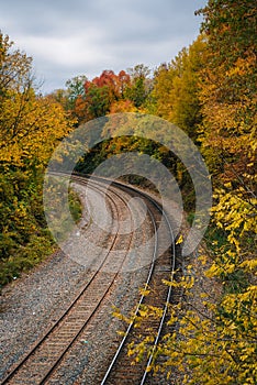 Fall color and railroad tracks in Remington, Baltimore, Maryland