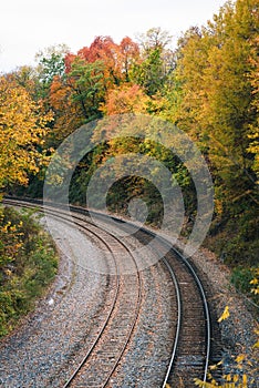 Fall color and railroad tracks in Remington, Baltimore, Maryland