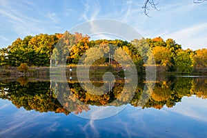 Fall color reflected in the Lake in Michigan