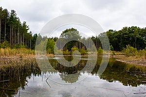 Fall color reflected in the Lake in Michigan