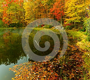 Fall Color Reflections on Boley Lake