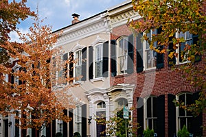 Fall color and row houses in Old Town, Alexandria, Virginia