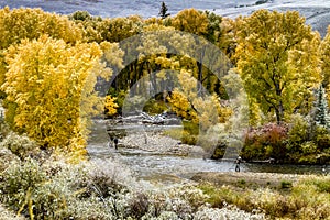 Fall Color and Snow in Colorado