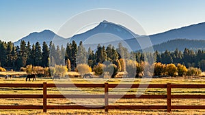 Fall Color at Sunset with Mountain on Ranch on Farm with Fence and Horses in Autumn