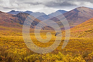 Fall color Tombstone Territorial Park Yukon Canada