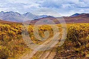 Fall color Tombstone Territorial Park Yukon Canada