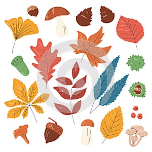 Fall colorful dried leaves silhouette set isolated