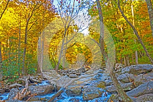 Fall Colors above a Secluded Mountain Stream