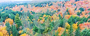 Fall colors Algonquin Park, Ontario, Canada.