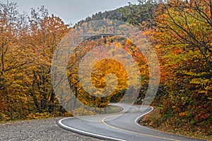 Fall colors along Highway 221 at Grandfather Mountain