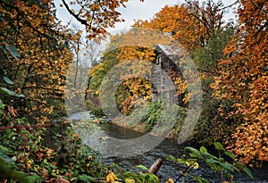 Fall colors along river with old flower mill