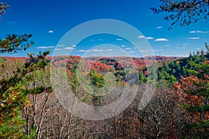 Fall colors along the Silvermine Arch Trail at Red River Gorge, KY