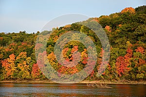 Fall Colors Along the St. Croix River