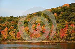 Fall Colors Along the St. Croix River photo