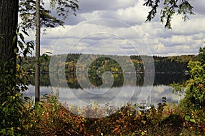 Fall colors around the lake