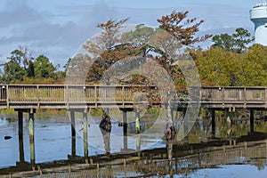 Fall colors on the boardwalk in Duck town on outer banks of N C Horizontal
