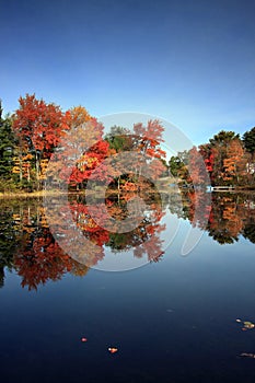 Fall Colors, Brant Lake, NY