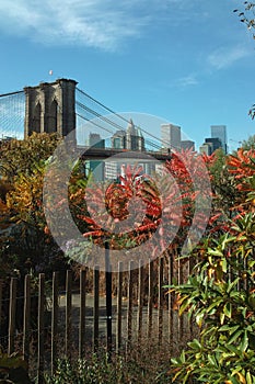 Fall Colors in Brooklyn Bridge Park, New York, USA