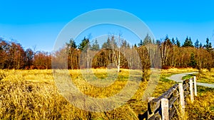 Fall colors in Campbell Valley Regional Park in the Township of Langley, British Columbia