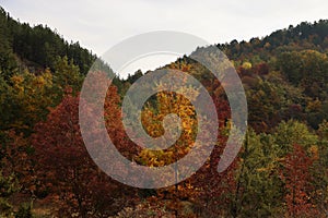 Fall colors in Casentino, Tuscany