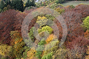 Fall colors in Casentino, Tuscany