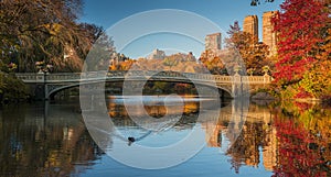 Fall colors in Central Park. New York City