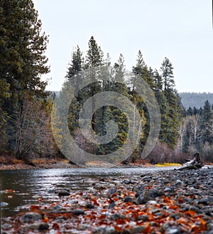 Fall Colors on the Cle Elum River