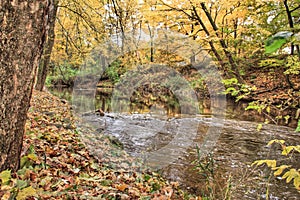 Fall colors on the Coldwater River