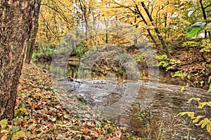 Fall colors on the Coldwater River photo