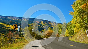 Fall Colors in Colorado along a roadside