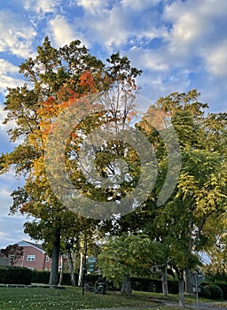 Fall Colors in Connecticut