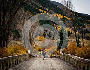 Fall Colors on the Continental Divide Trail photo