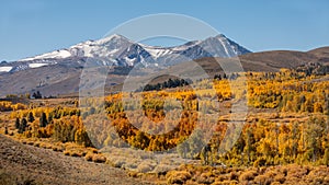 Fall Colors on Conway Summit