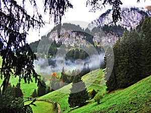 Fall colors in forests of Alpstein mountain range and Thur River valley