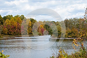 Fall Colors in Frederick, Maryland