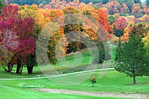 Fall colors in golf course