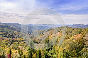 Fall colors on The Great Smoky Mountains National Park with some negative space