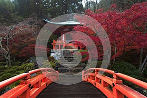 Fall colors and heaven at Daigoji temple in Kyoto, Japan.