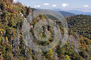 Fall Colors and Hemlock loss along the Blue Ridge