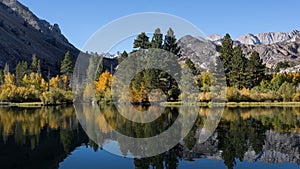 Fall Colors at Intake Lake Bishop California