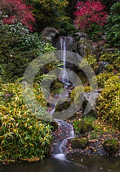 Fall colors in Kubota Japanese Gardens in Seattle Washington State