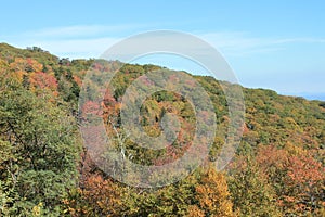 The fall colors of Linville, NC