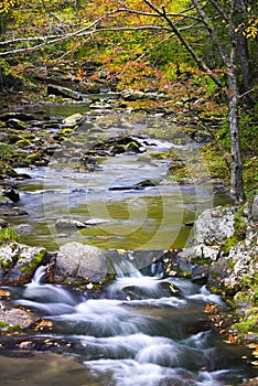 Fall Colors on Luarel Creek