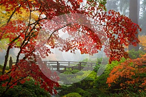 Fall Colors by the Moon Bridge in Portland Japanese Garden in Oregon photo