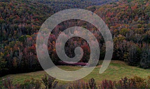 Fall colors on the mountain