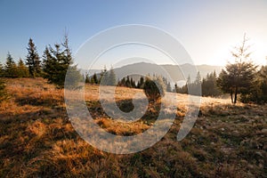 Fall colors mountain hill